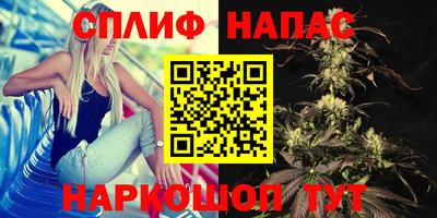 стафф Среднеуральск