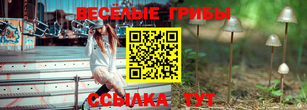 Псилоцибиновые грибы ЛСД  Вход с VPN  Новосибирск  наркота  Галлюциногенные грибы мицелий 